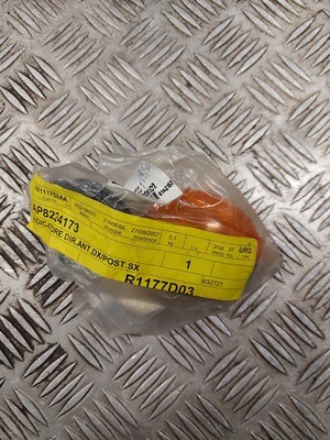 Blinker SR 50 AP8224173