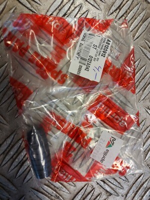 Schalthebelgummi Rs50 / RSV4 AP8120912