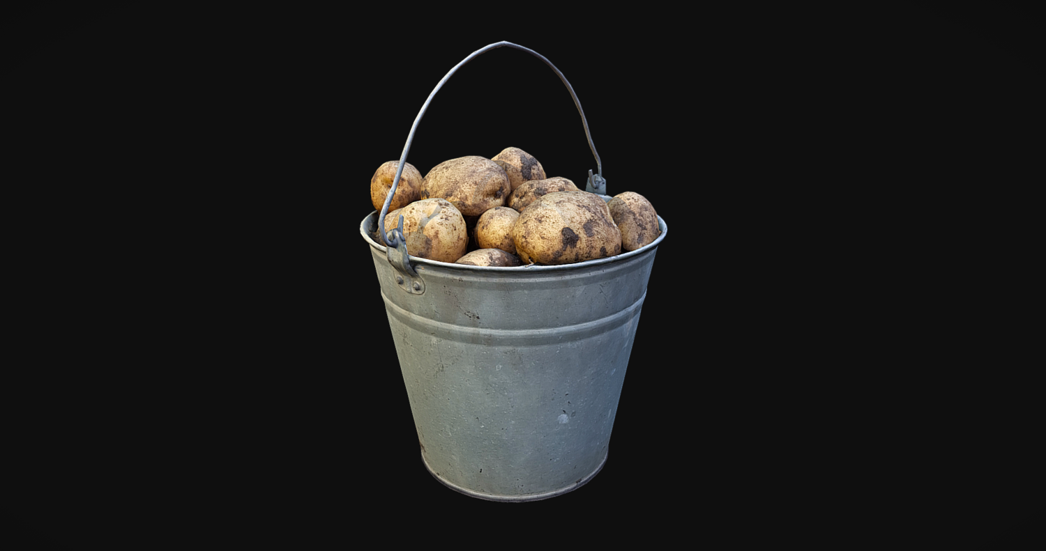 Bucket Of Potatoes - Photoscaned model