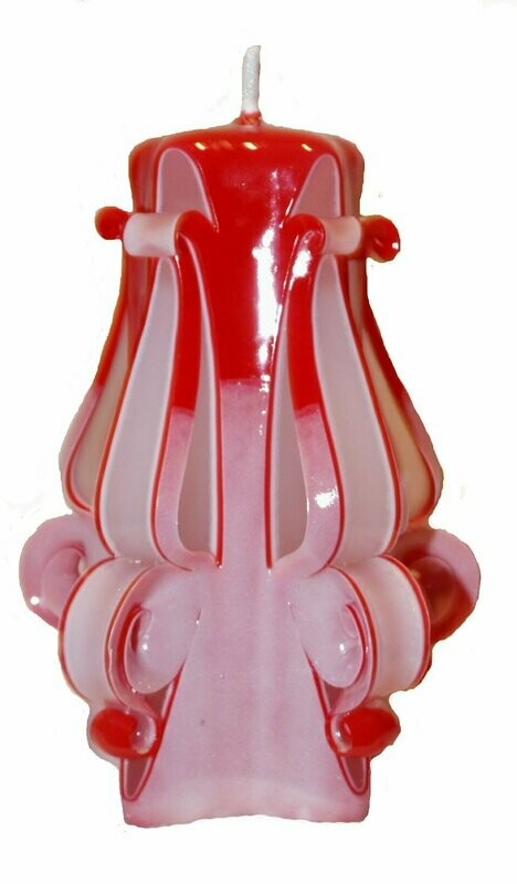 Krokus rot-weiß 12cm