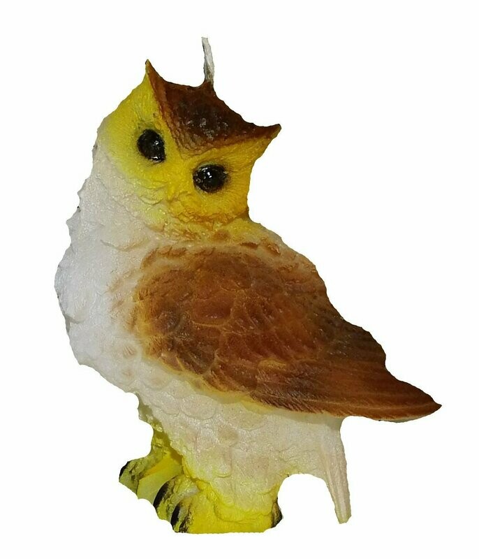 Eule