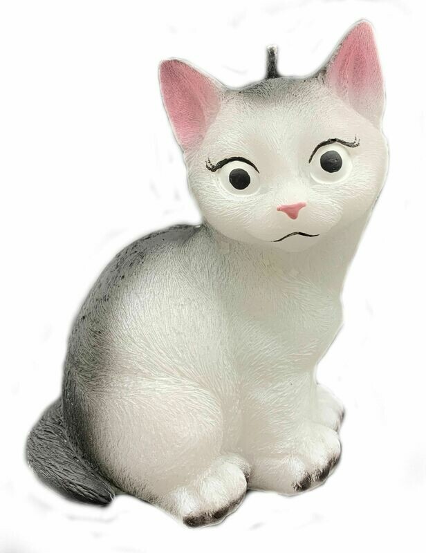 Katze