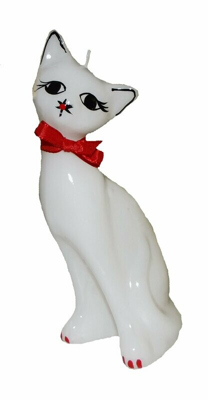 Katze weiß