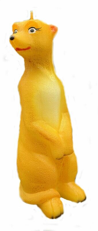 Erdmännchen