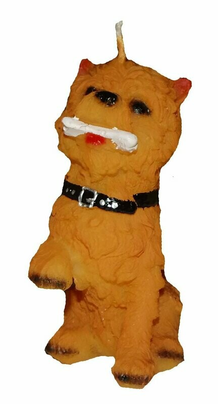 Terrier