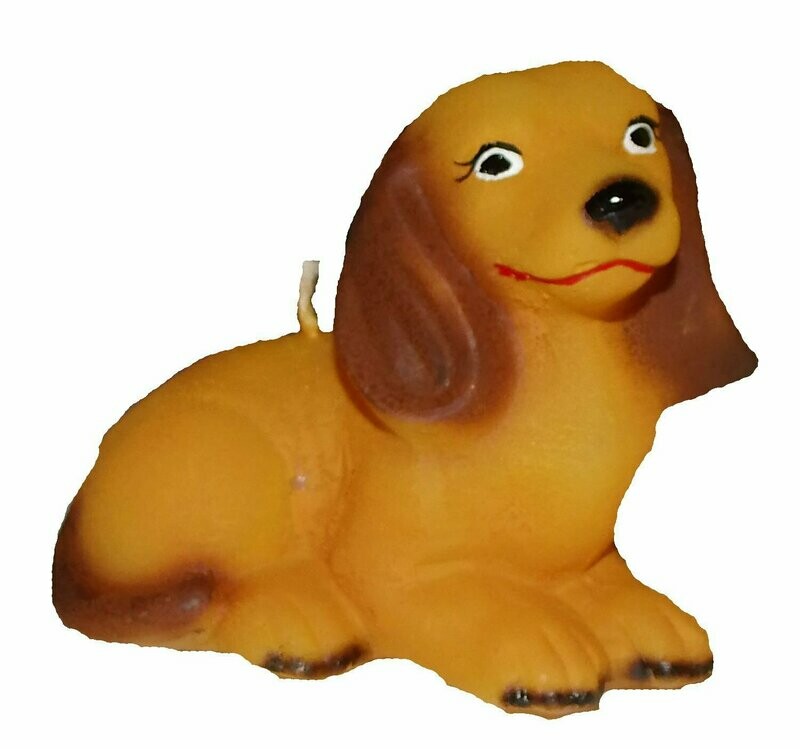Dackel
