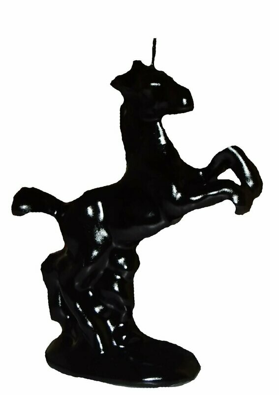 Pferd schwarz