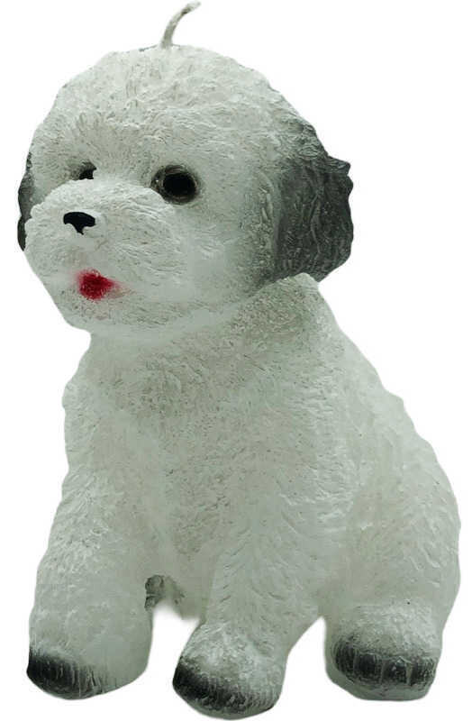 Hund weiß 15cm