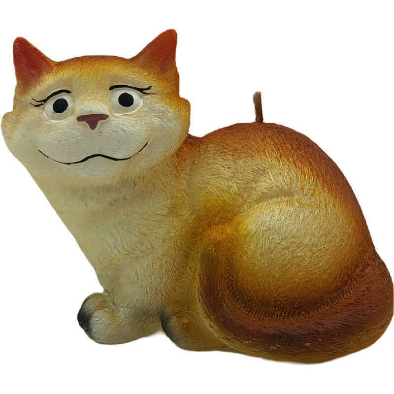 Katze liegend