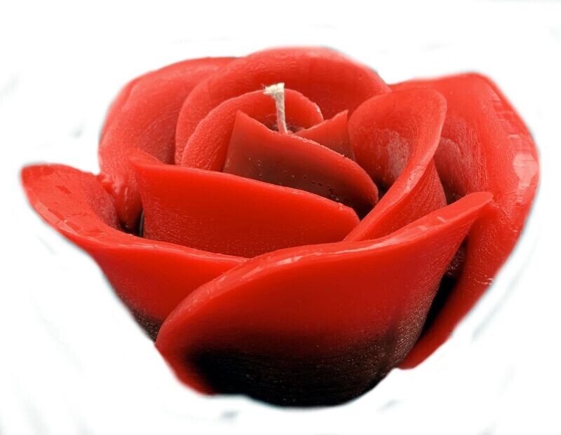 Rose rot-schwarz 8/14cm