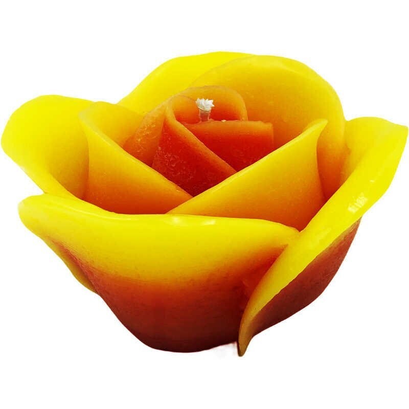 Rose gelb-rot 8/14cm