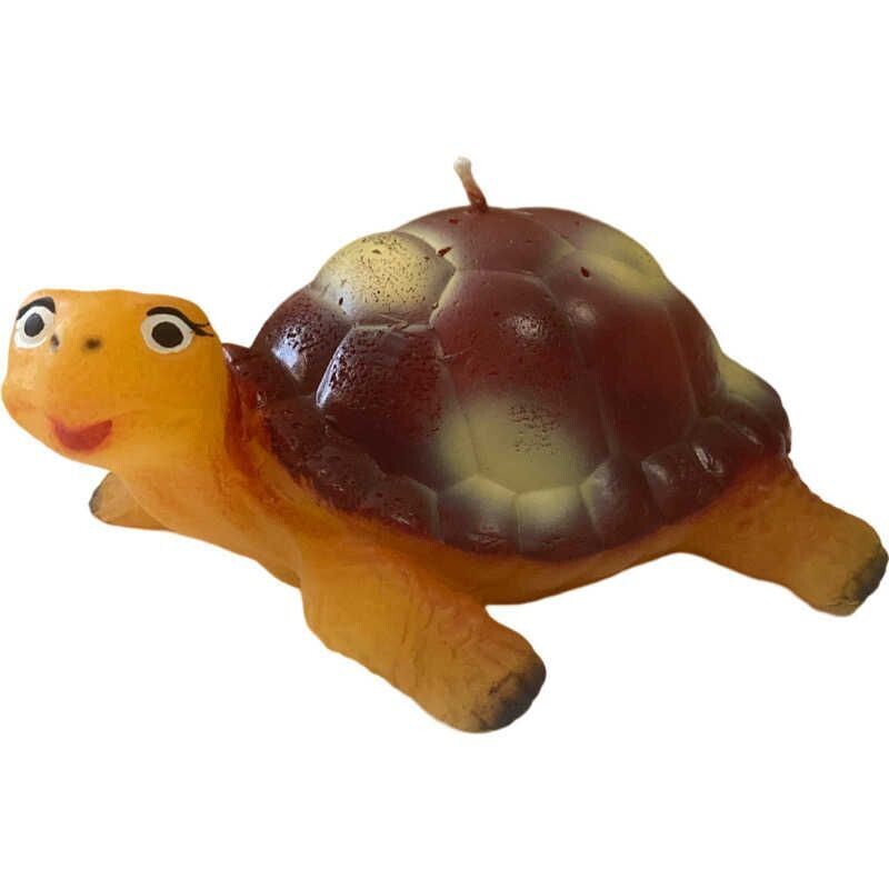 Schildkröte