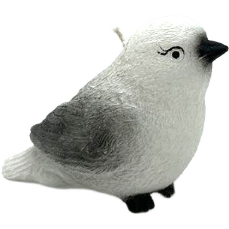 Wintervogel