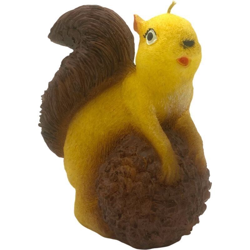Eichhörnchen