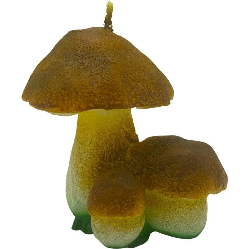 Pilze