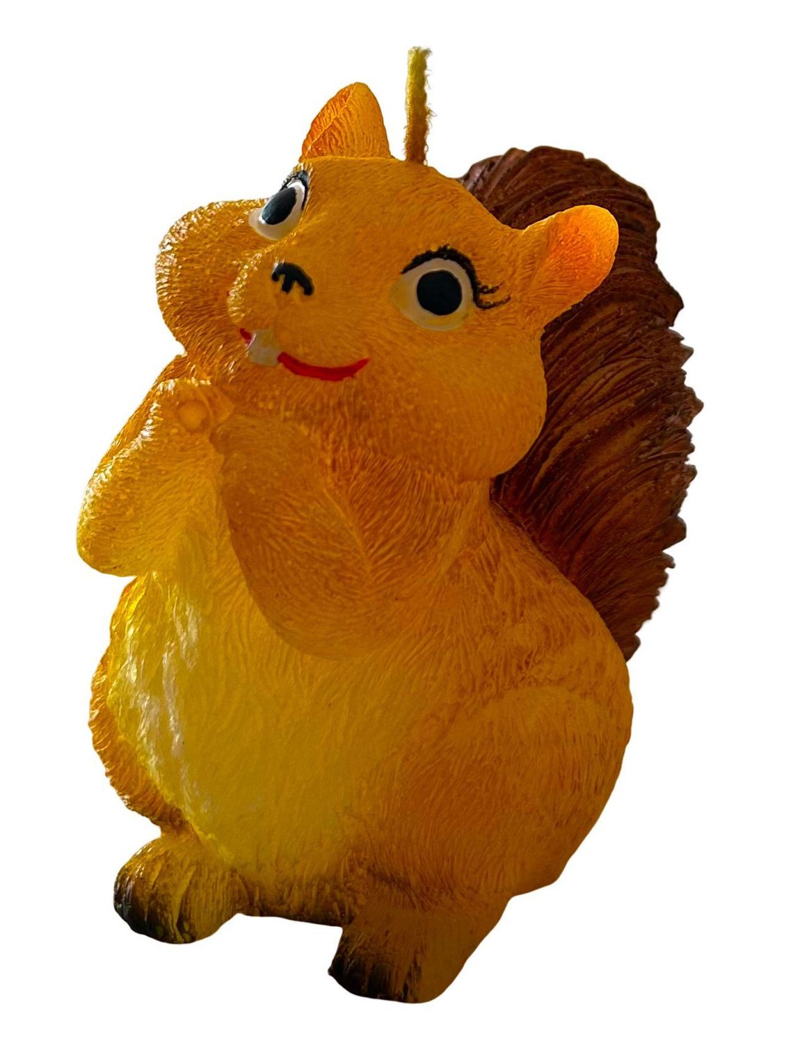 Eichhörnchen klein