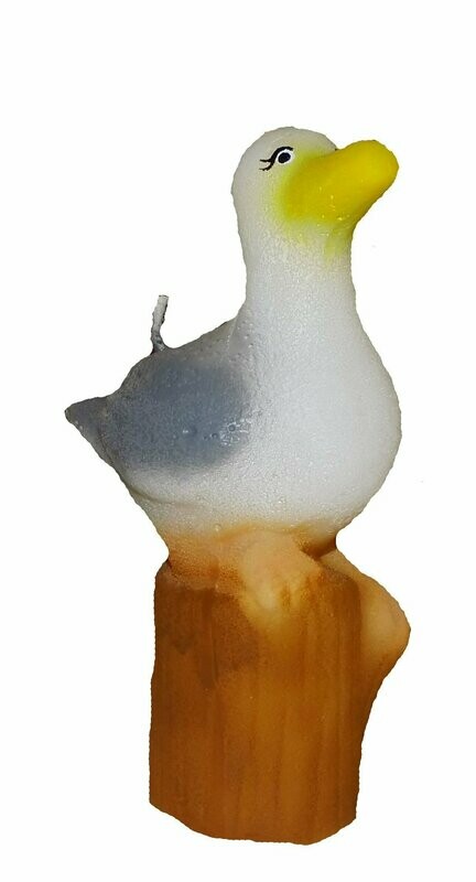 Möwe