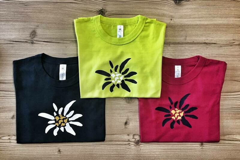 T Shirt STELLA ALPINA