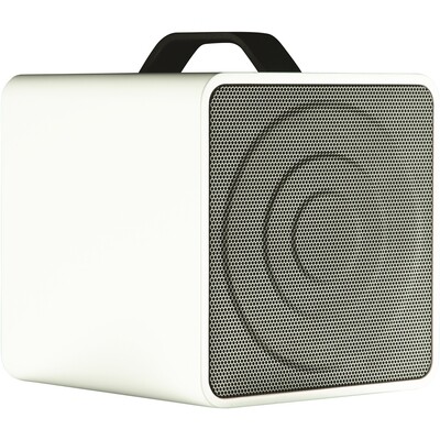 EKO Acoustic Amp