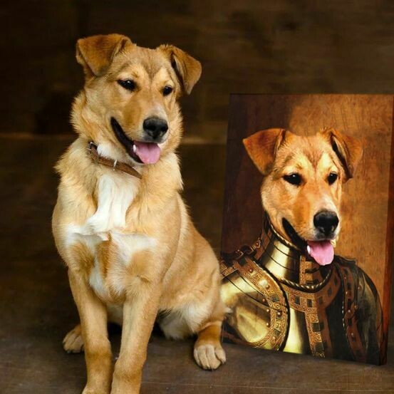 Ridder op Canvas