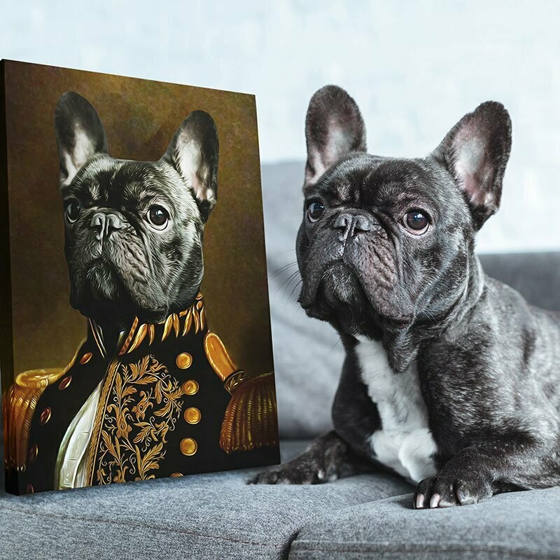 Admiraal op Canvas