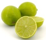 Ciento de Limon Criollo