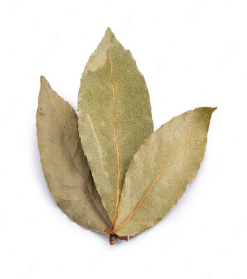 Laurel
