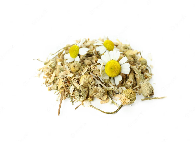 Manzanilla