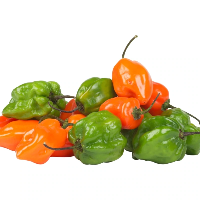Chile habanero 5 unidades