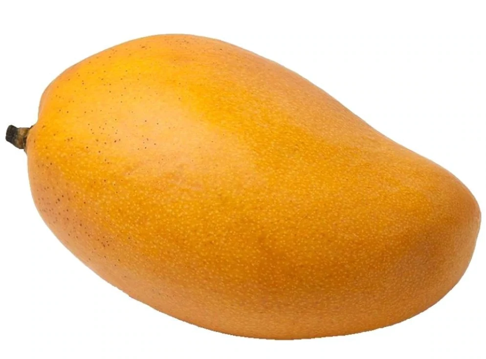 Mango Taulfo Pequeño