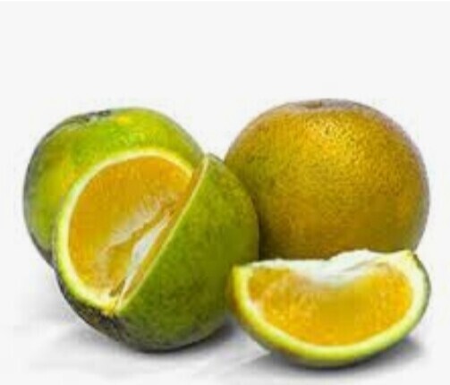 Naranja Valencia