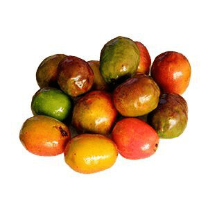 Jocote corona