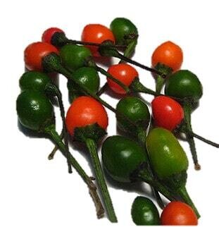 Chile Chiltepe