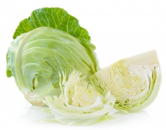 Repollo