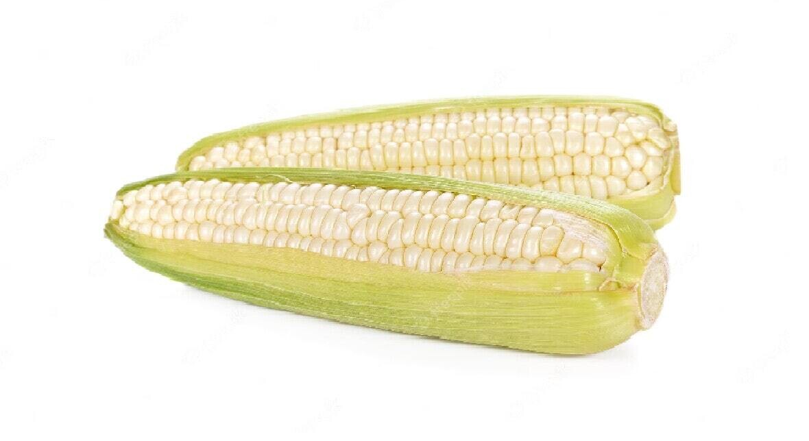 Elote Blanco entero