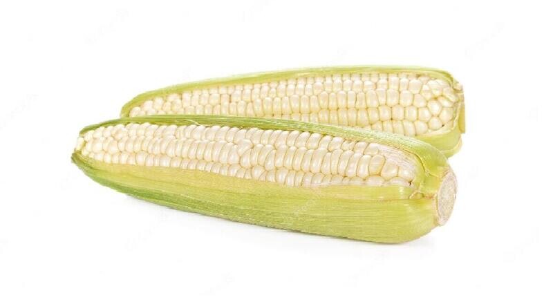 Elote Blanco entero