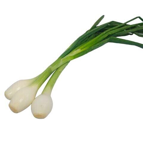 Cebollita Cambray