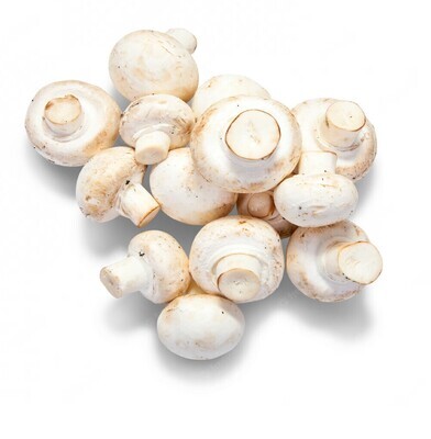 Champiñon blanco