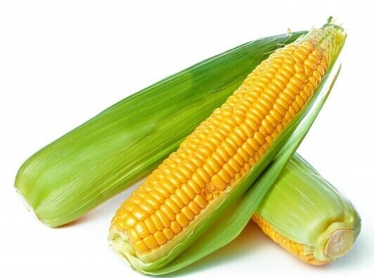 Elote dulce entero