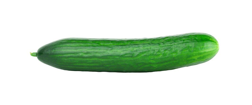 Pepino sin semilla