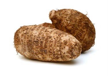 Malanga