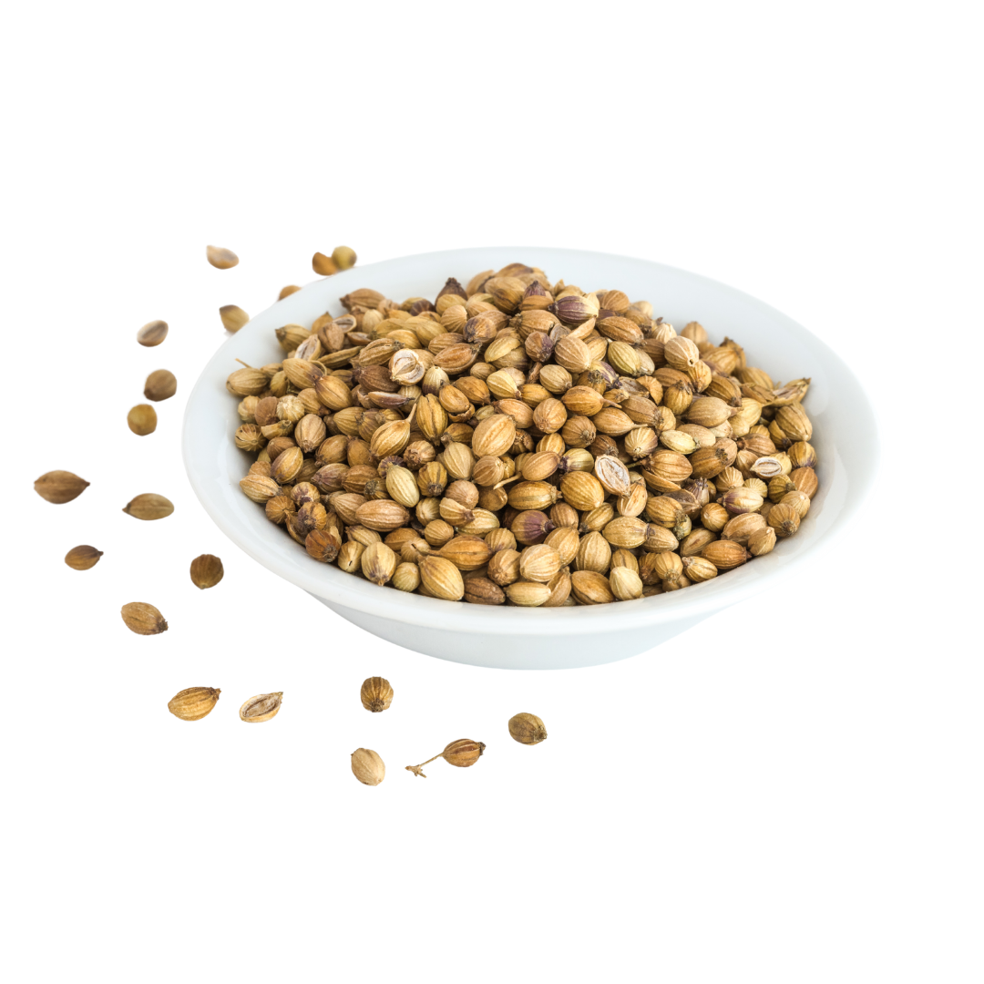 Semilla de cilantro
