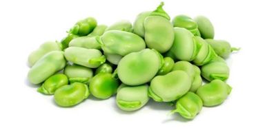 Haba Verde (112 lbs.)