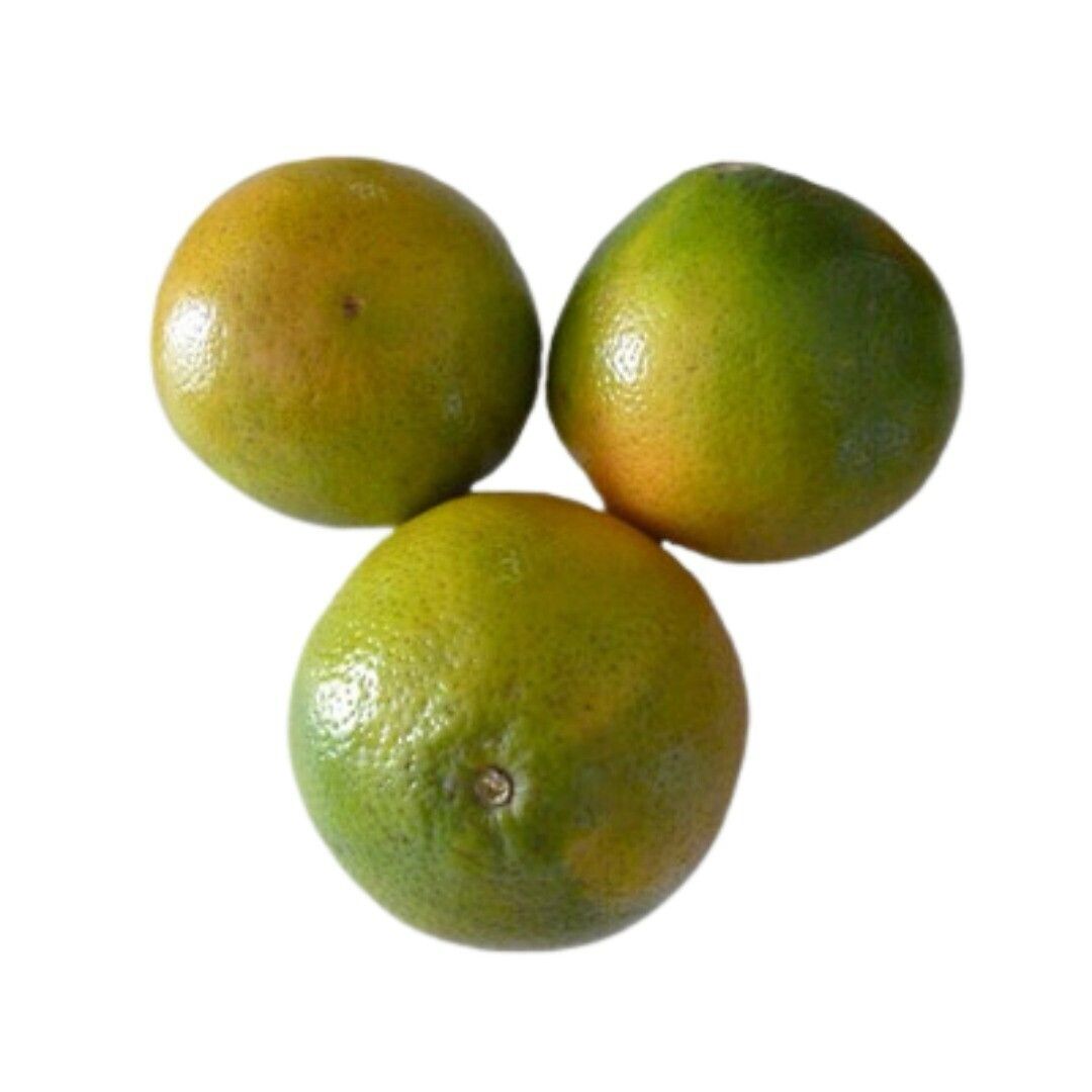 Naranja 5 unidades