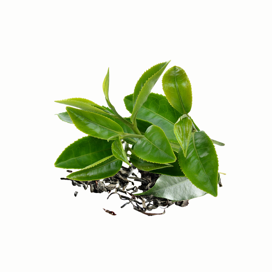 te verde