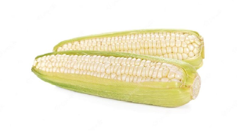 Elote Blanco entero
