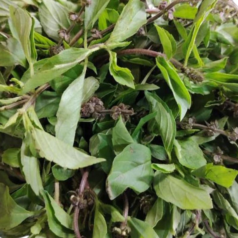 Albahaca manojo