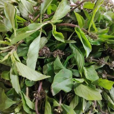 Albahaca manojo