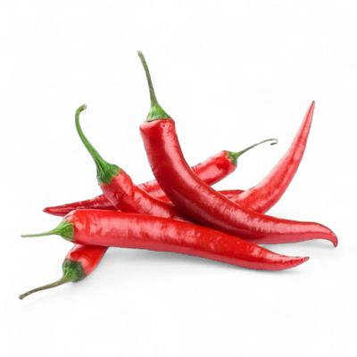 Chile Diente de Perro