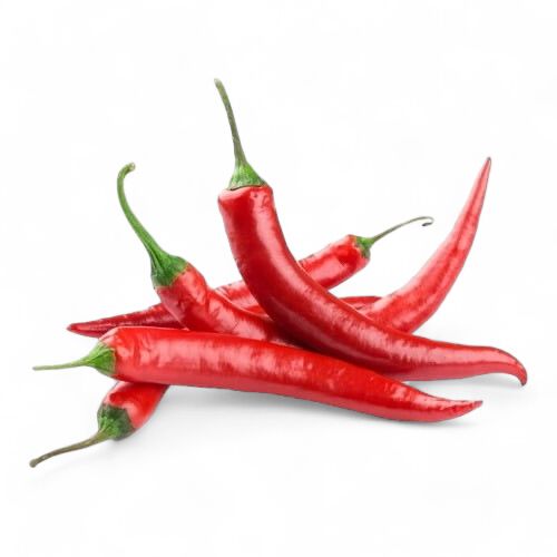 Chile Diente de Perro